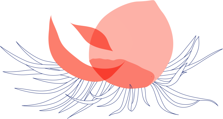 پرسش های متداول